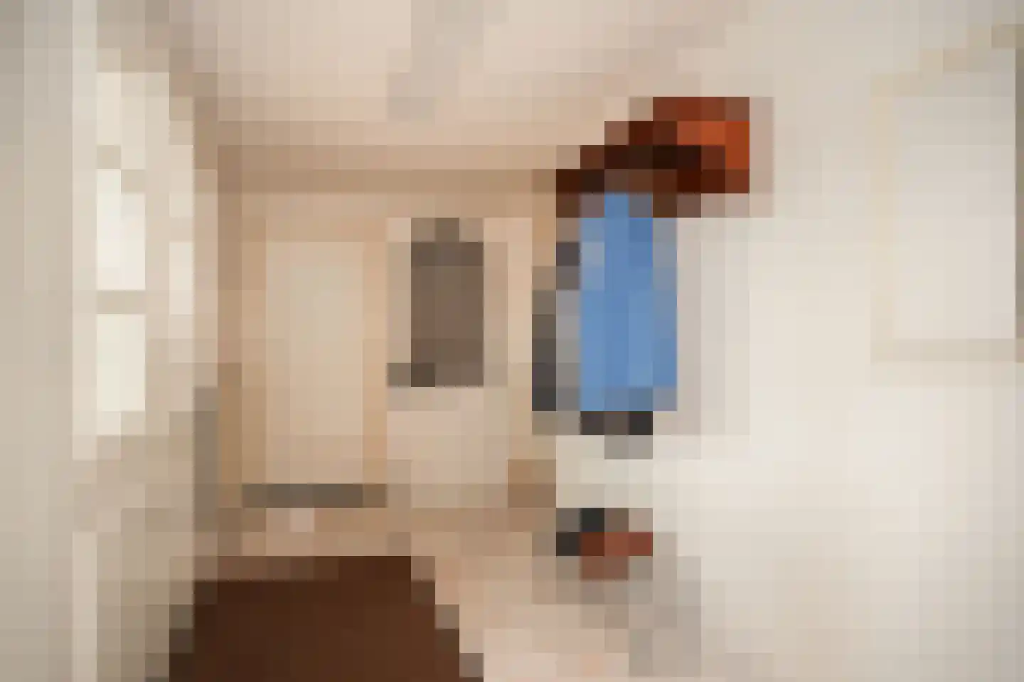 Bagijnestraat 19 Ochten thumbnail 26