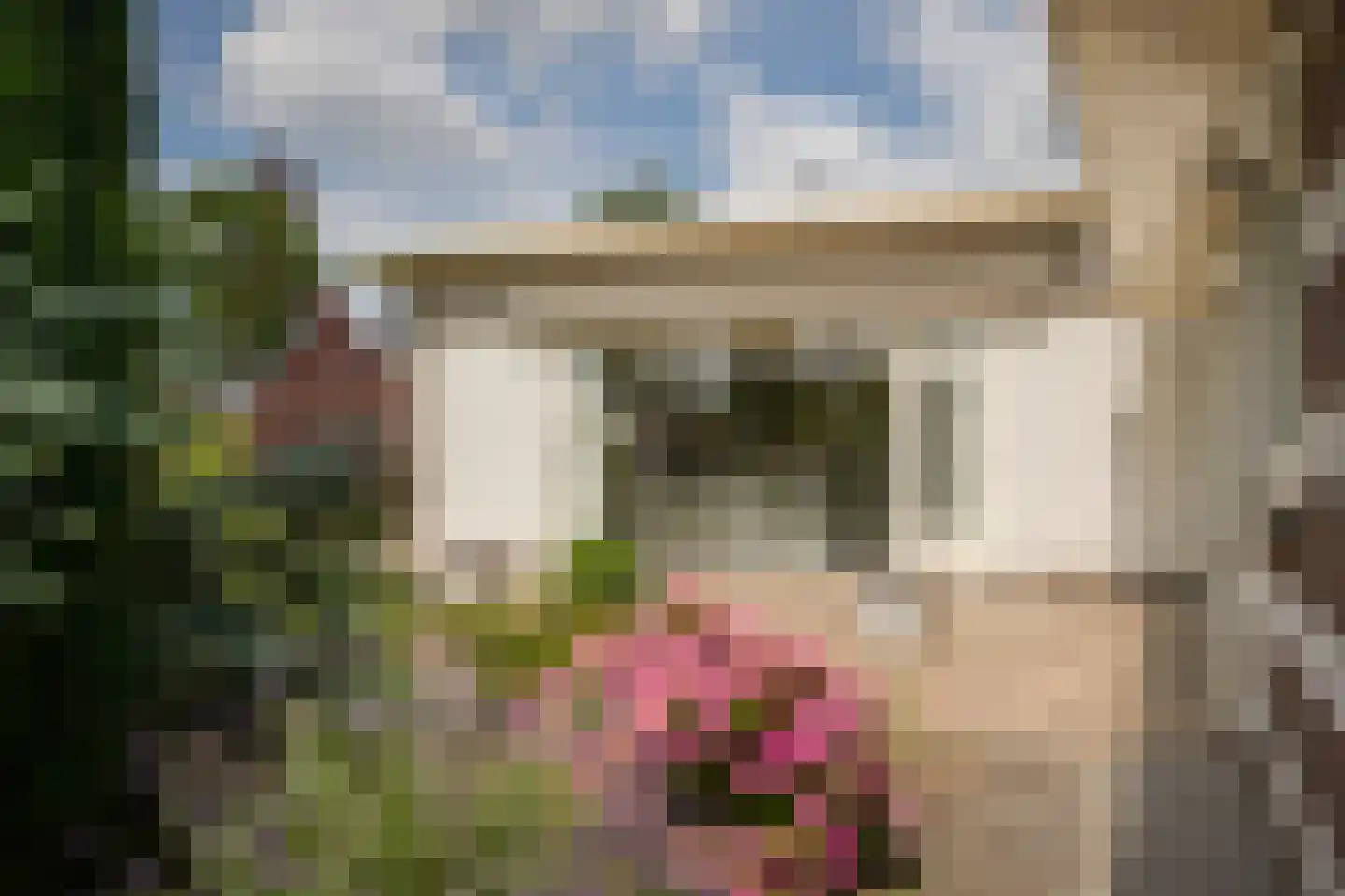 Bagijnestraat 19 Ochten thumbnail 36