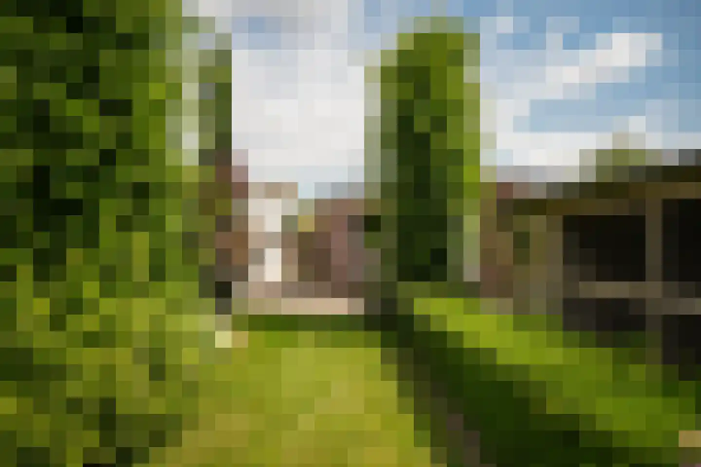 Bagijnestraat 19 Ochten thumbnail 39