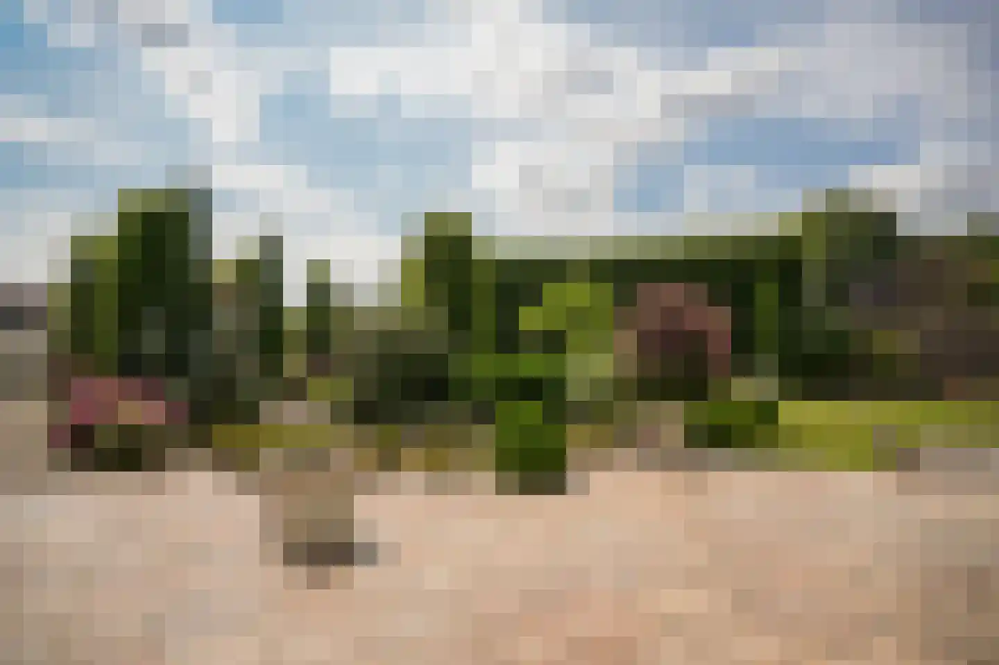 Bagijnestraat 19 Ochten thumbnail 43