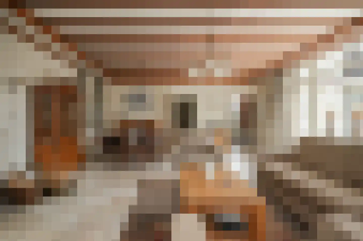Bagijnestraat 19 Ochten thumbnail 5