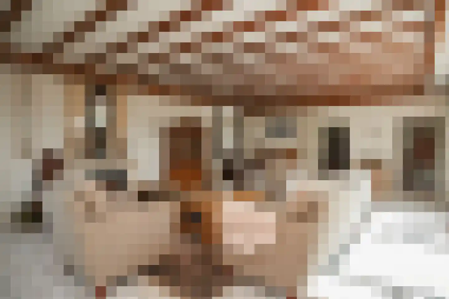 Bagijnestraat 19 Ochten thumbnail 7