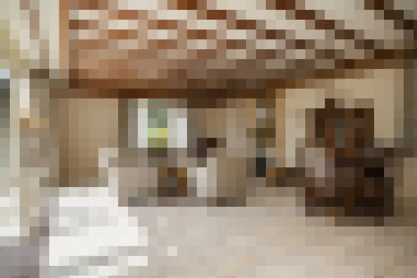 Bagijnestraat 19 Ochten thumbnail 9