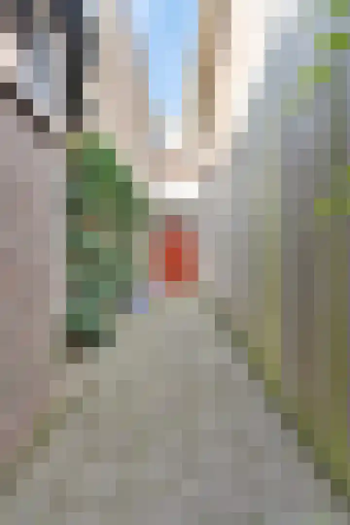 Bagijnestraat 25 Lochem thumbnail 31