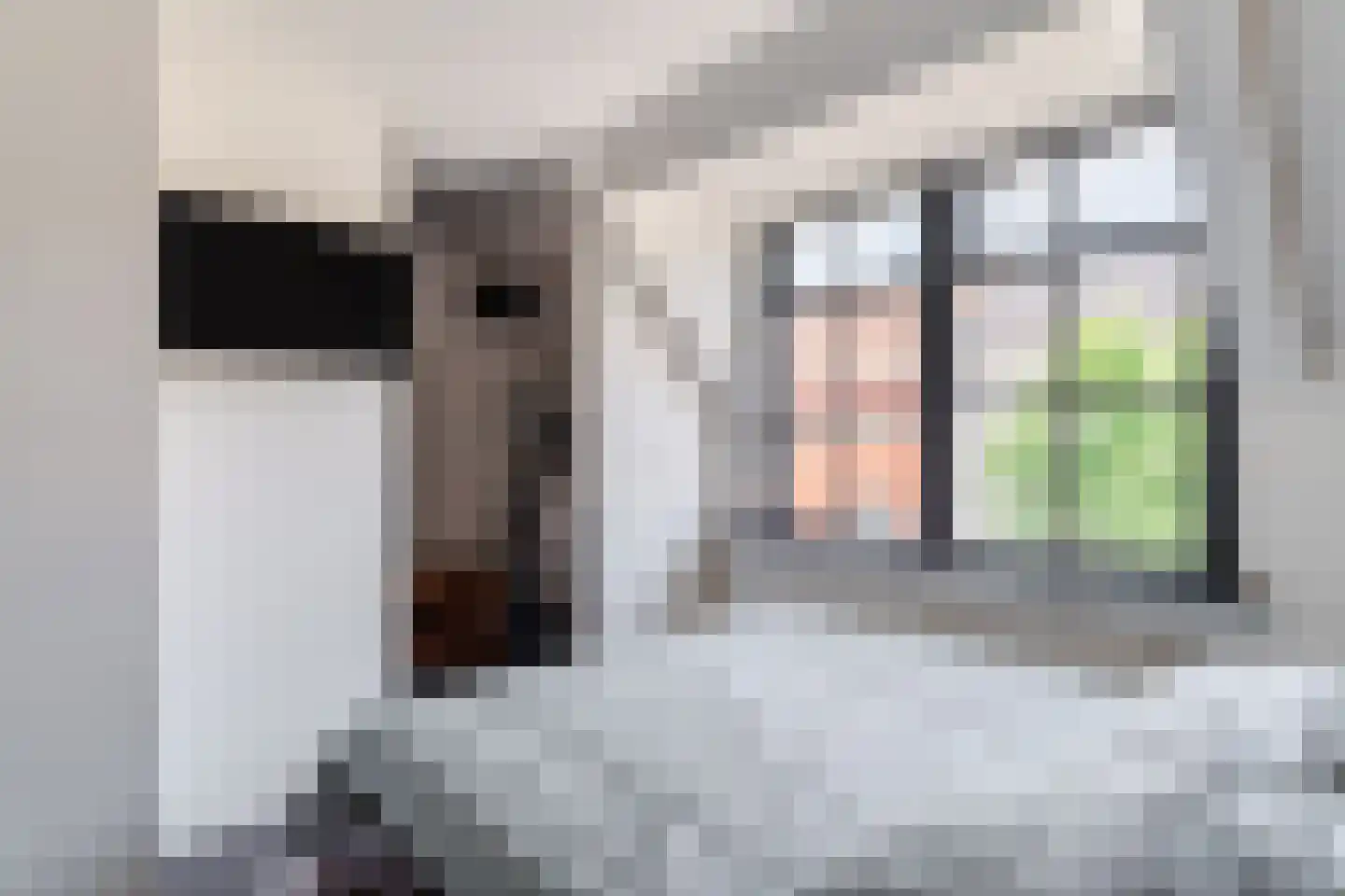 Bagijnestraat 3 Woudrichem thumbnail 17