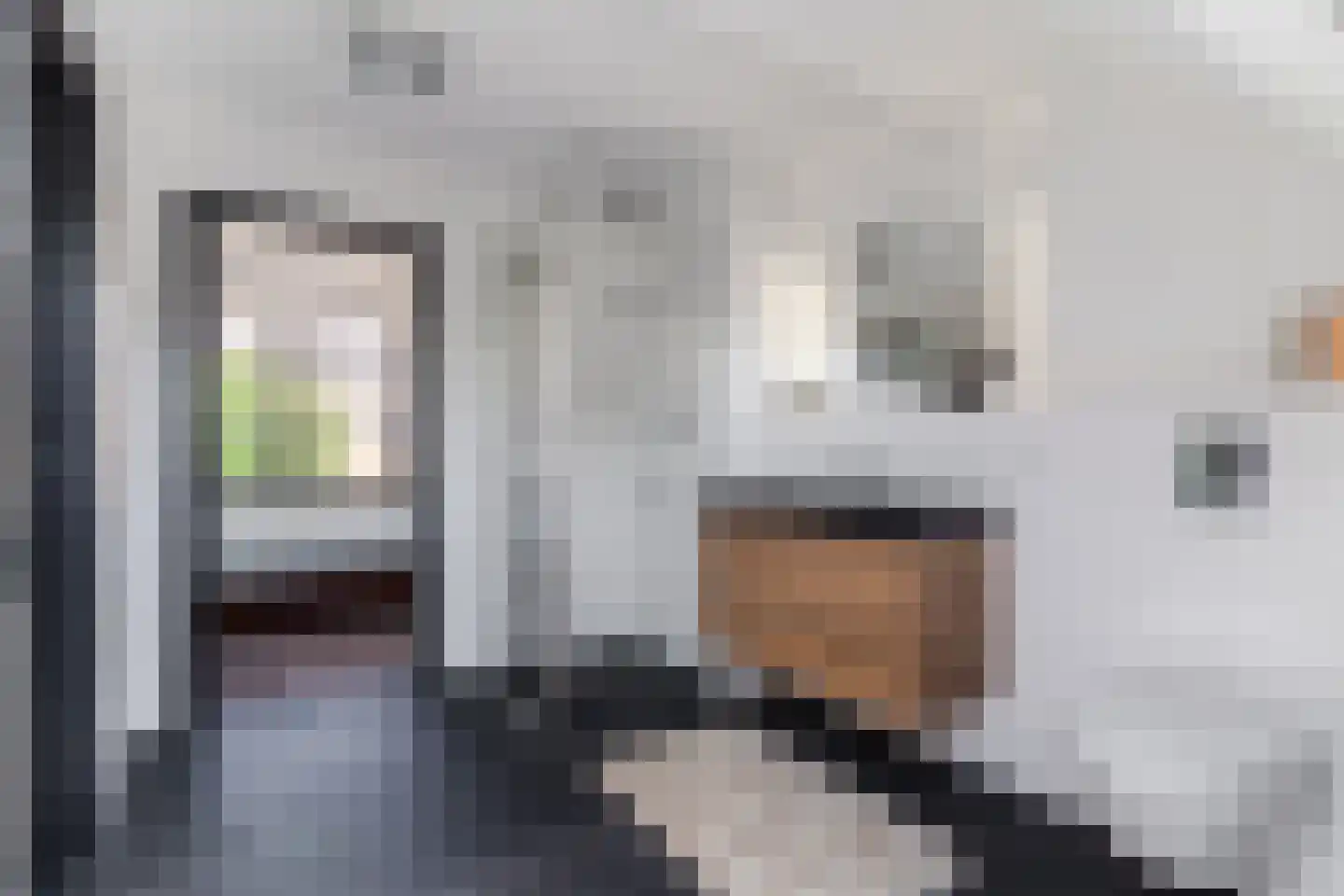 Bagijnestraat 3 Woudrichem thumbnail 21
