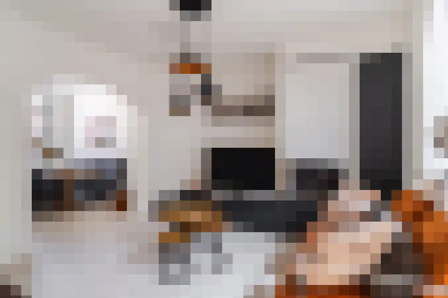 Bagijnestraat 3 Woudrichem thumbnail 8