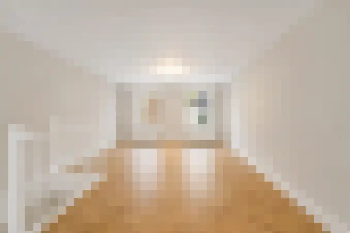 Bagijnestraat 32 A Den Haag thumbnail 6