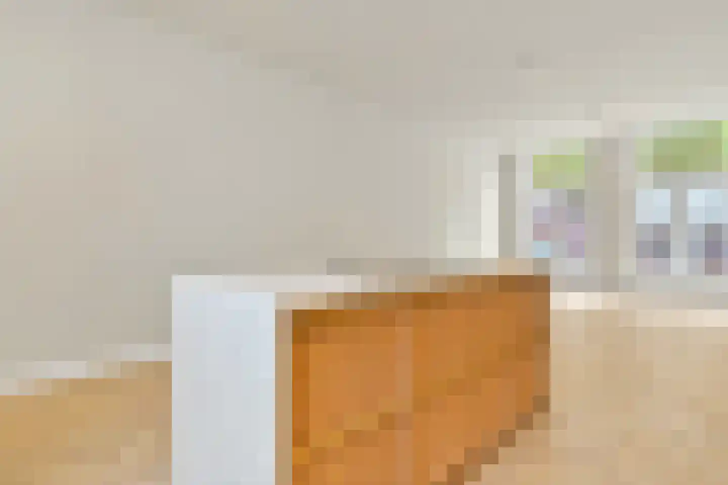 Bagijnestraat 32 B Den Haag thumbnail 9