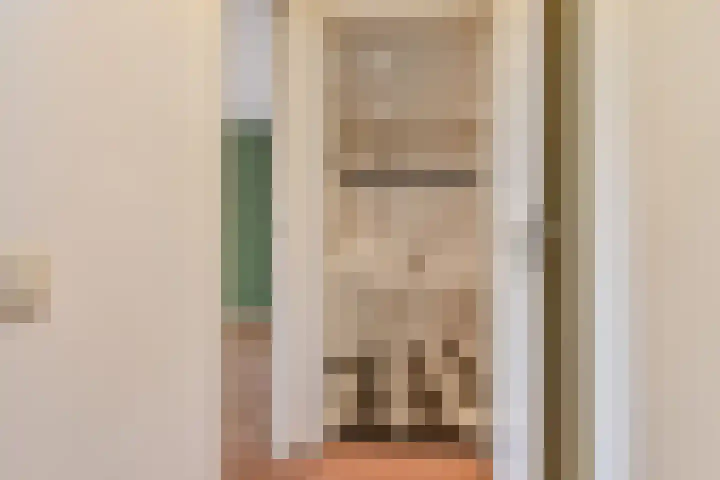 Bagijnestraat 32 D Den Haag thumbnail 23