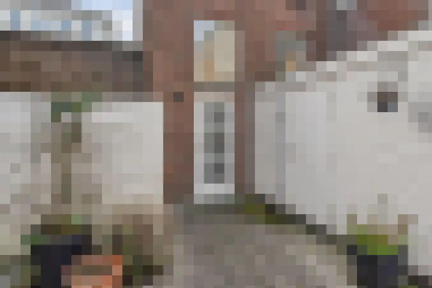 Bagijnestraat 32 D Den Haag thumbnail 31