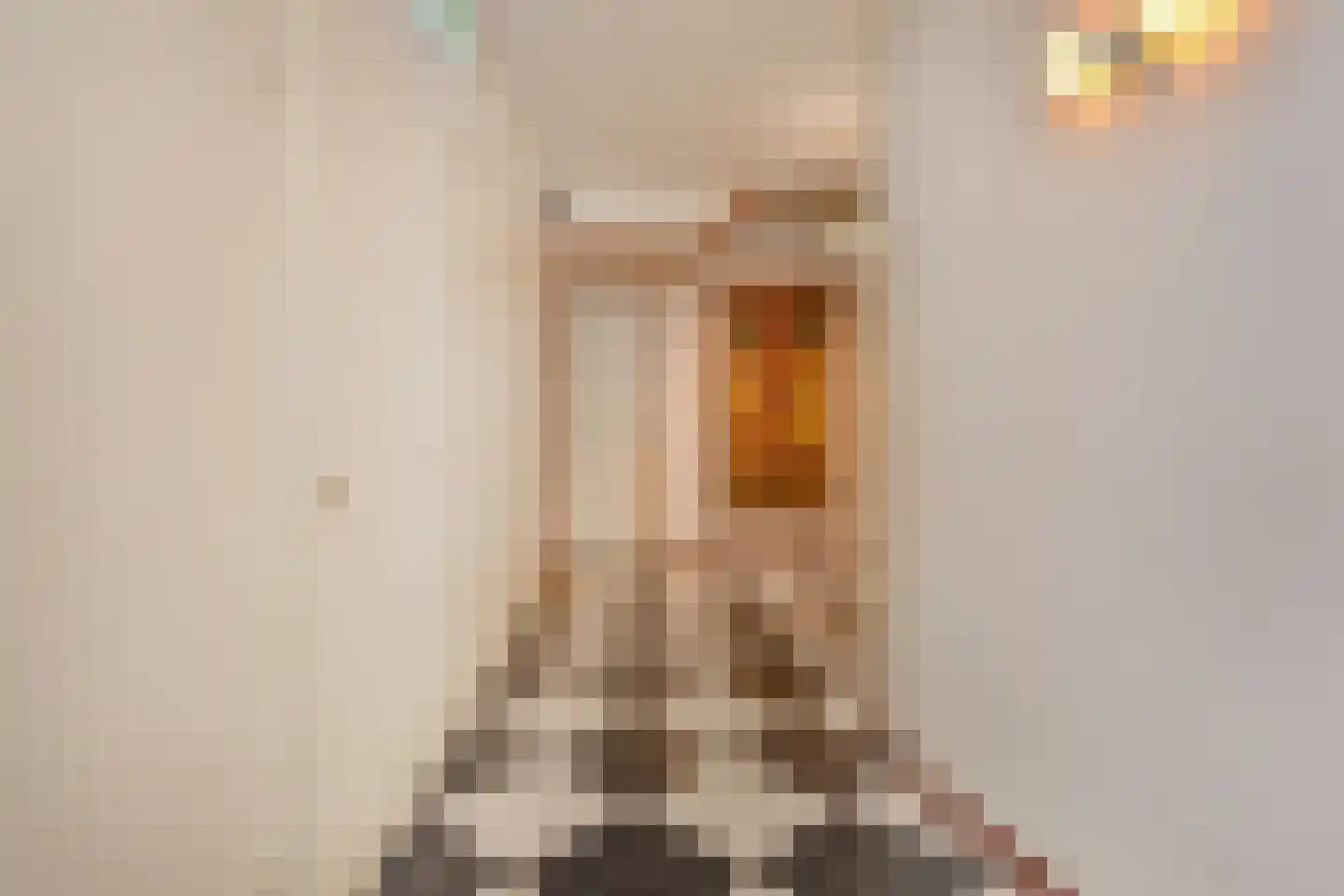 Bagijnestraat 32 D Den Haag thumbnail 5