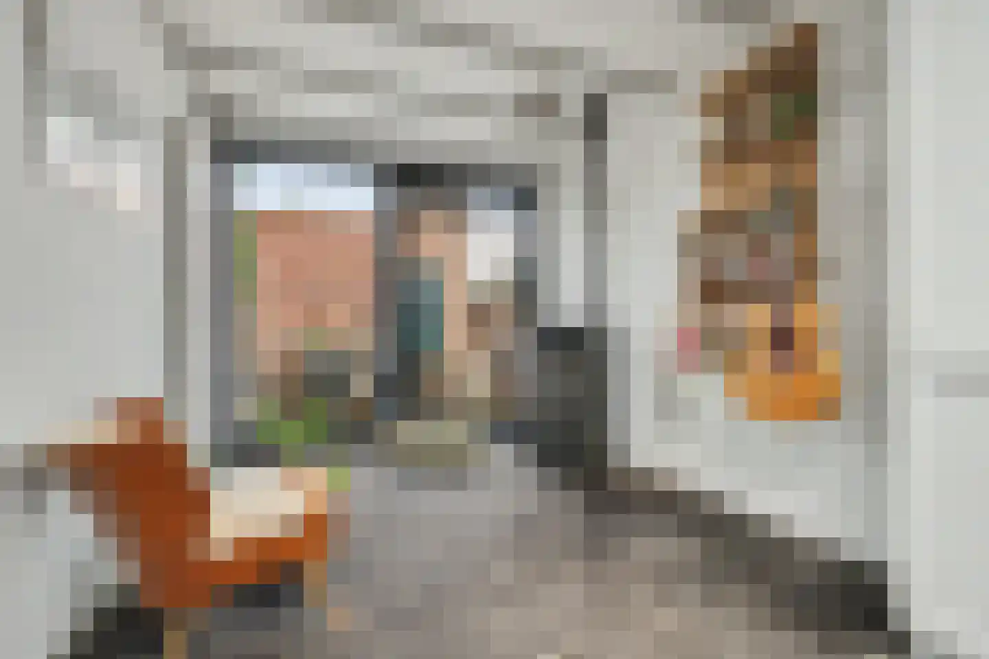Bagijnestraat 32 Zierikzee thumbnail 11