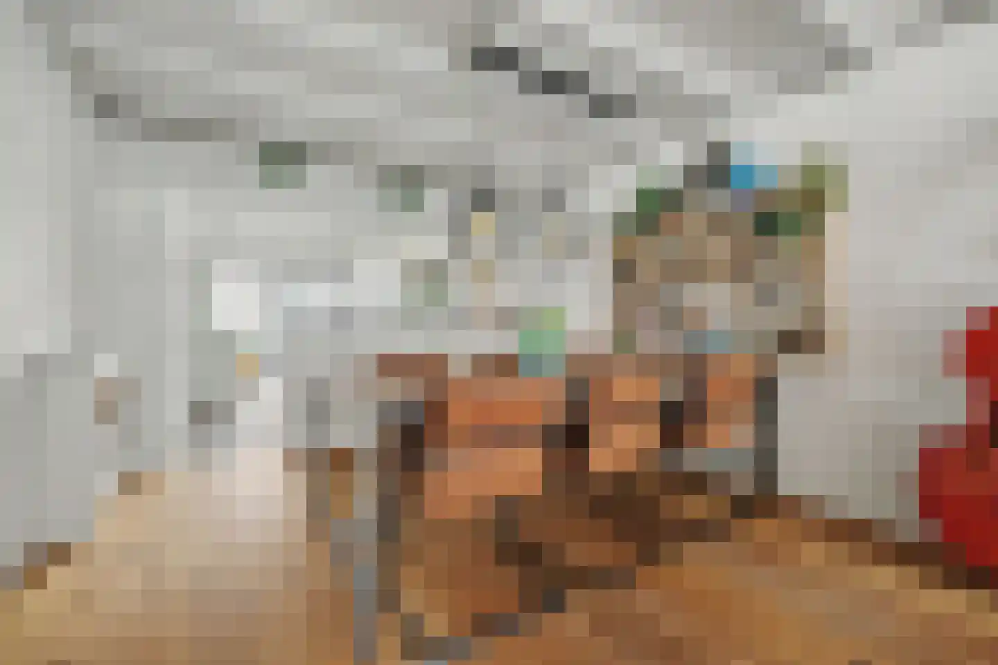 Bagijnestraat 32 Zierikzee thumbnail 15