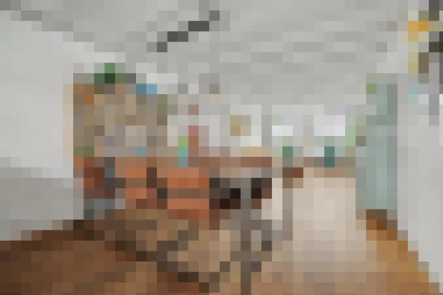 Bagijnestraat 32 Zierikzee thumbnail 16