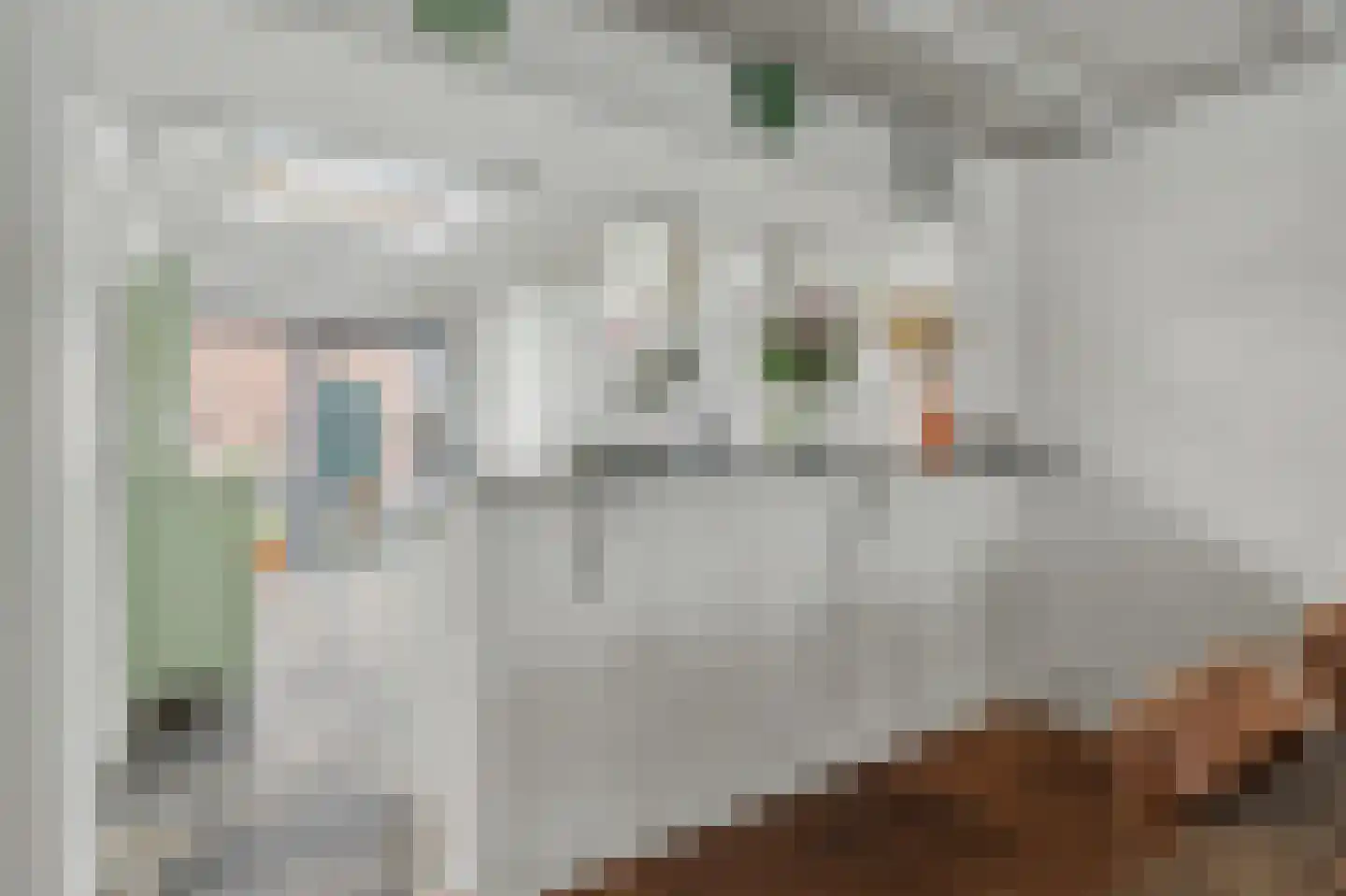 Bagijnestraat 32 Zierikzee thumbnail 17