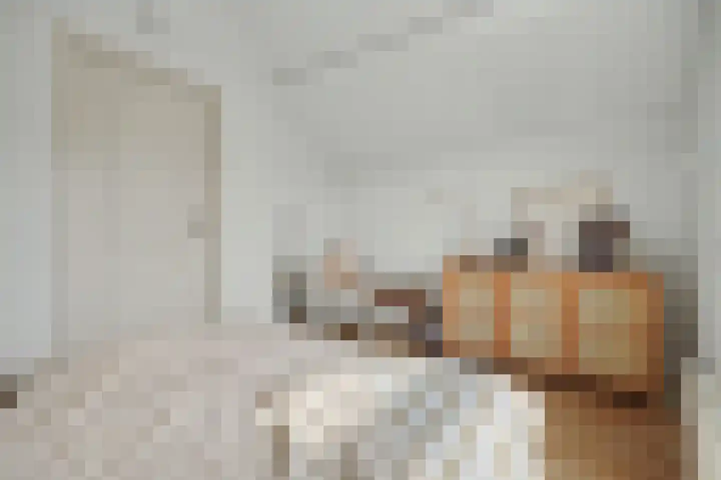 Bagijnestraat 32 Zierikzee thumbnail 24