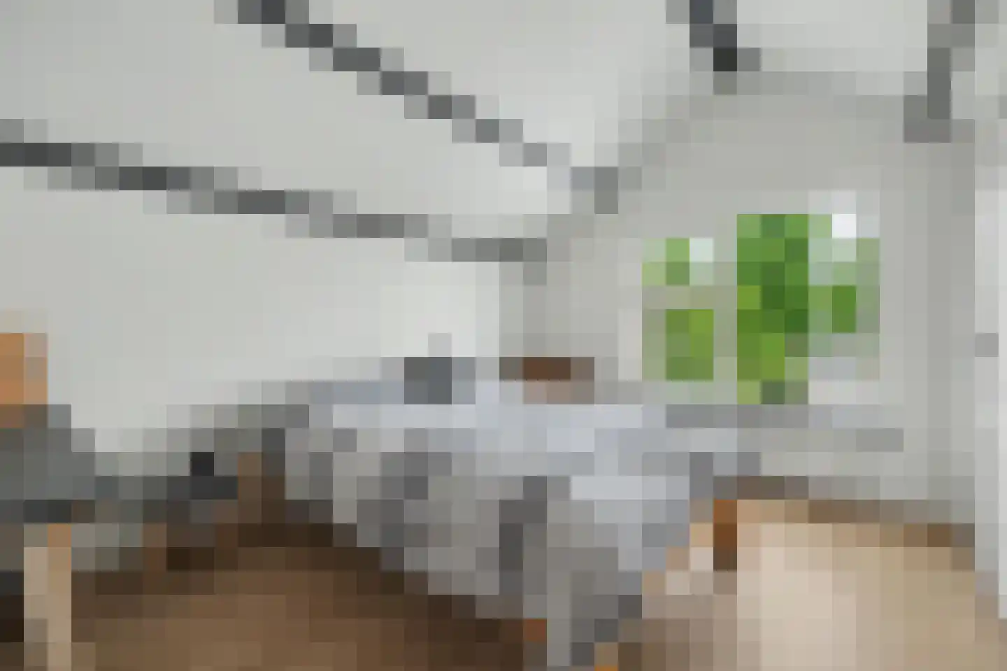 Bagijnestraat 32 Zierikzee thumbnail 27