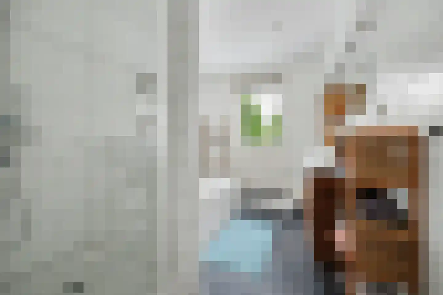 Bagijnestraat 32 Zierikzee thumbnail 33