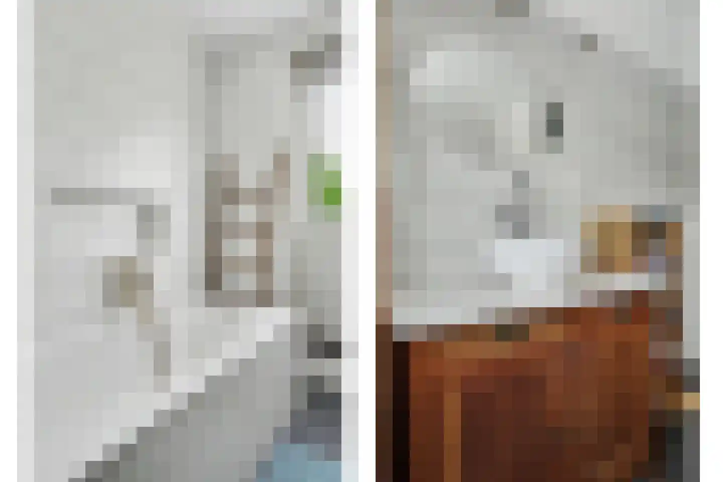 Bagijnestraat 32 Zierikzee thumbnail 34