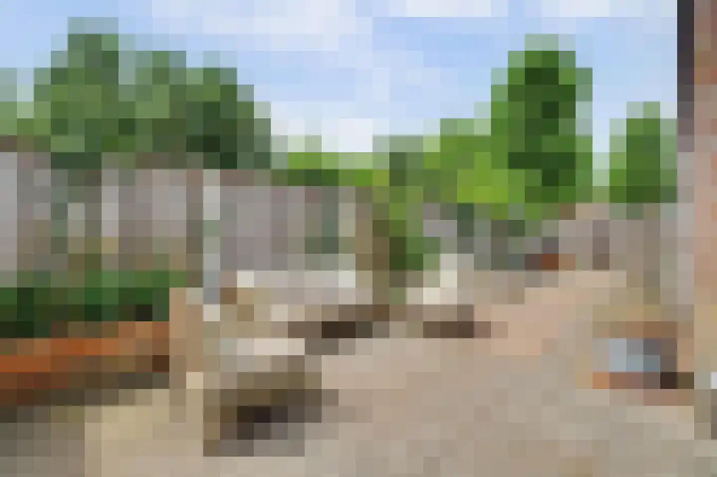 Bagijnestraat 32 Zierikzee thumbnail 39