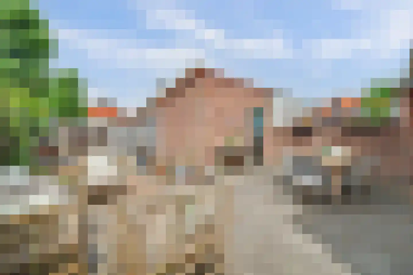 Bagijnestraat 32 Zierikzee thumbnail 40