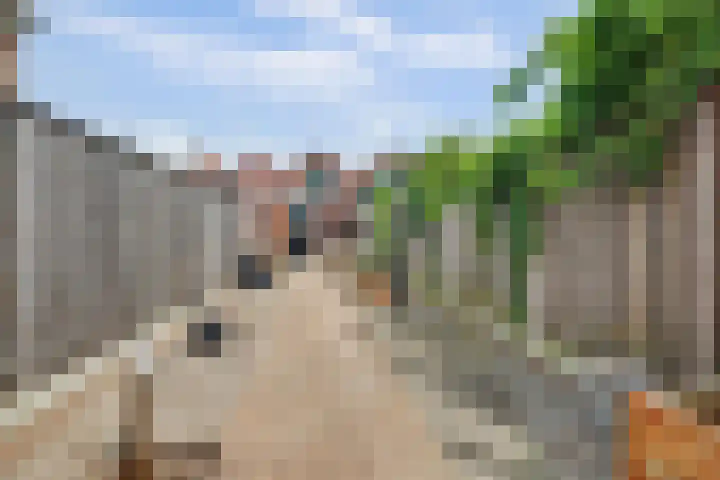 Bagijnestraat 32 Zierikzee thumbnail 42