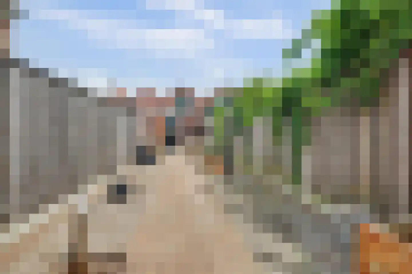 Bagijnestraat 32 Zierikzee thumbnail 43