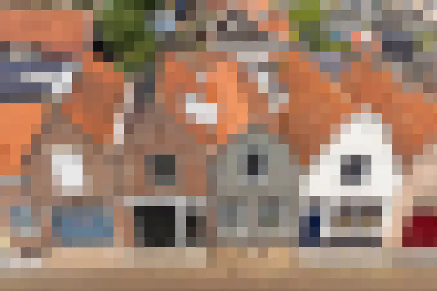 Bagijnestraat 32 Zierikzee thumbnail 46