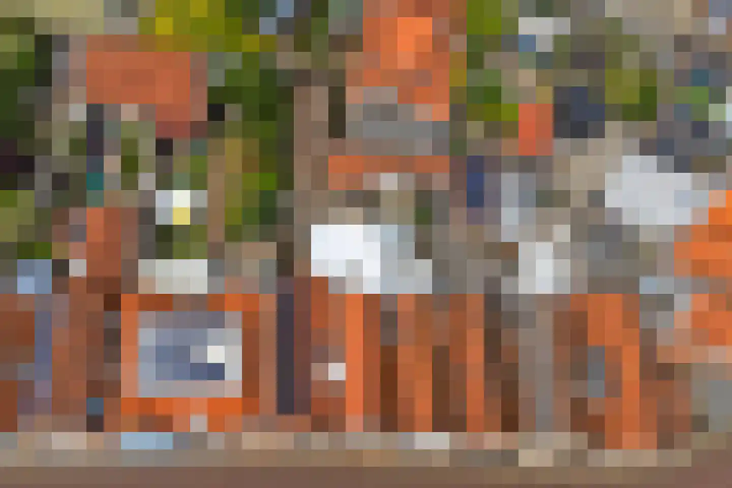 Bagijnestraat 32 Zierikzee thumbnail 52
