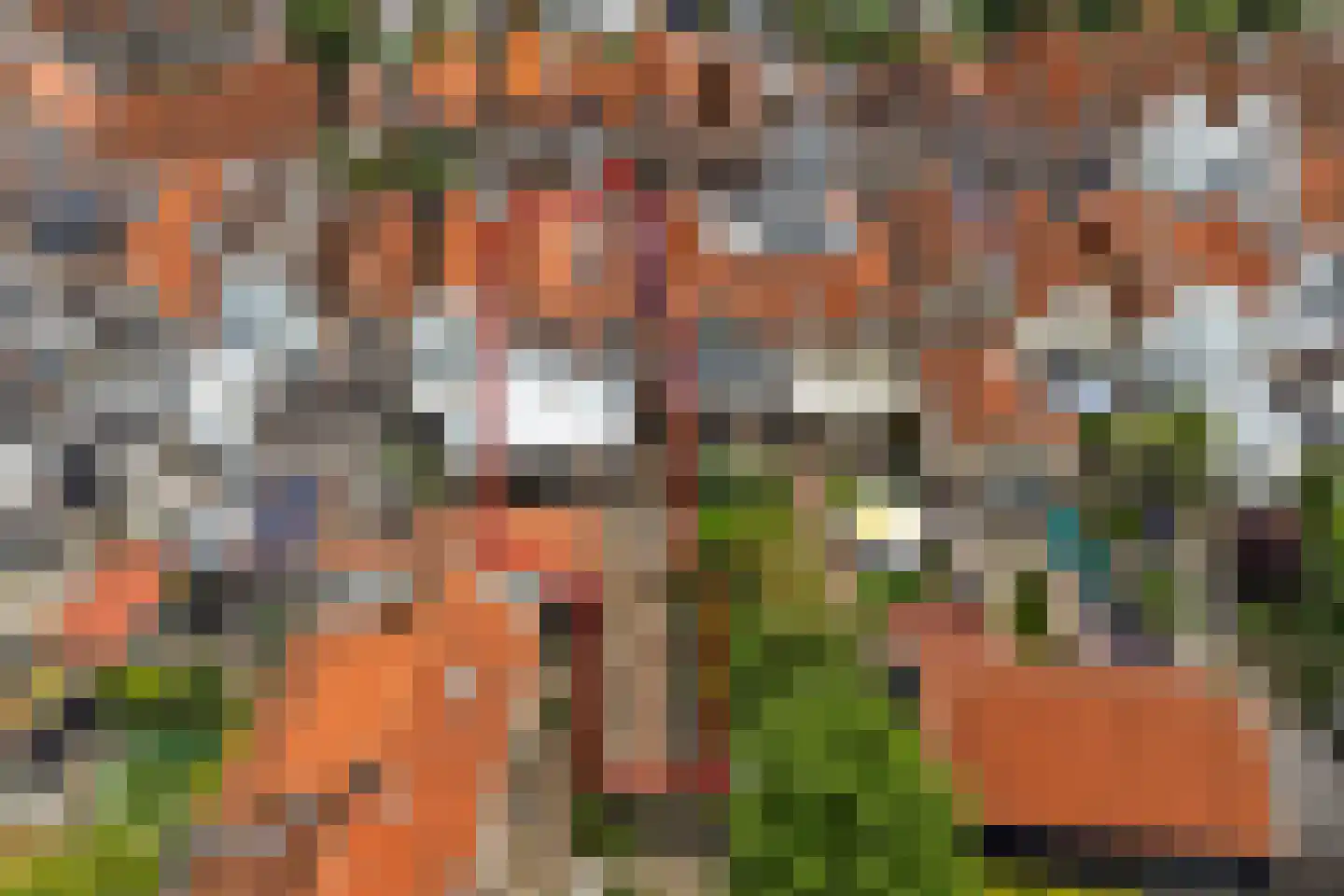 Bagijnestraat 32 Zierikzee thumbnail 55