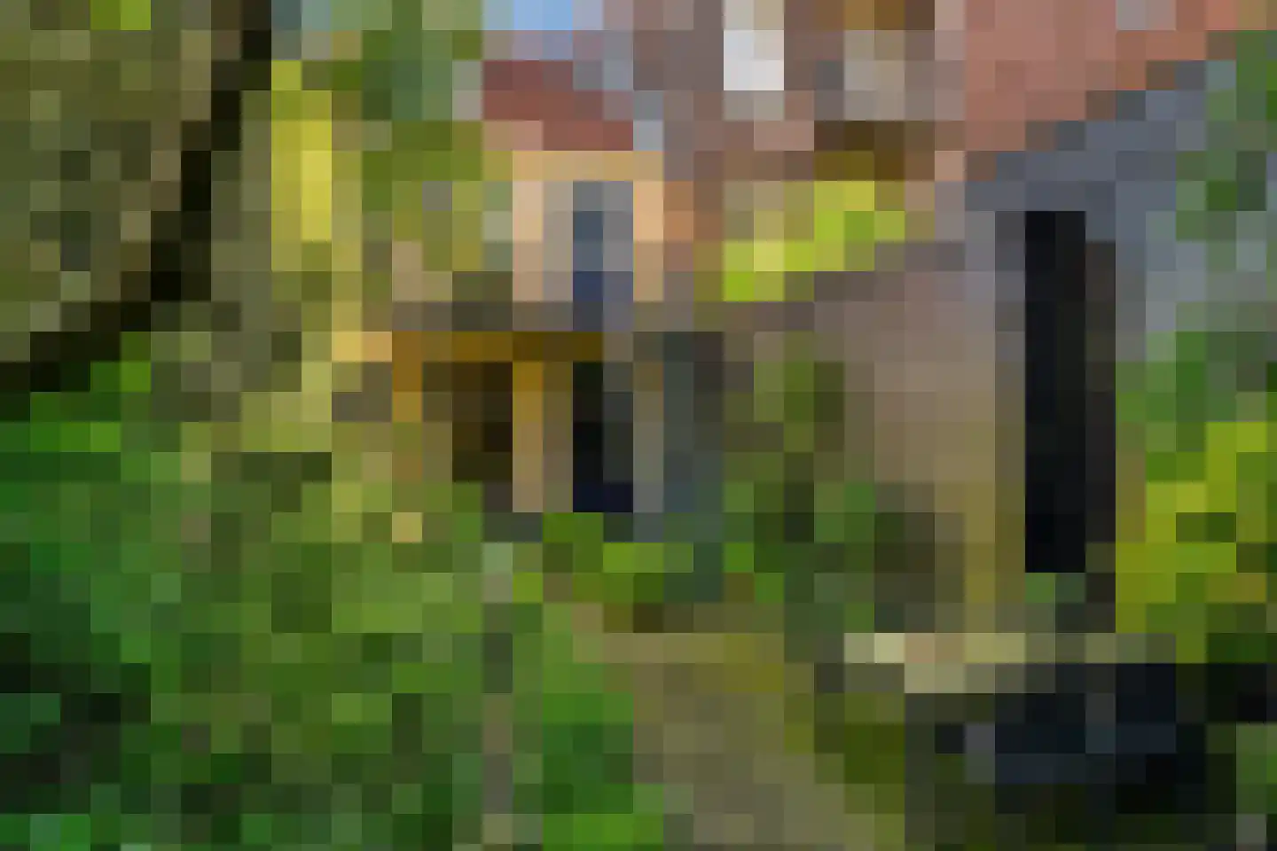 Bagijnestraat 54 Leeuwarden thumbnail 45