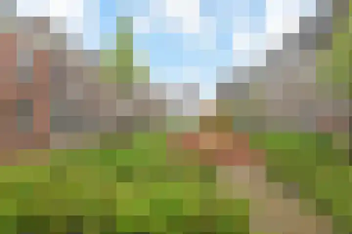 Bagijnhof 108 Delft thumbnail 25