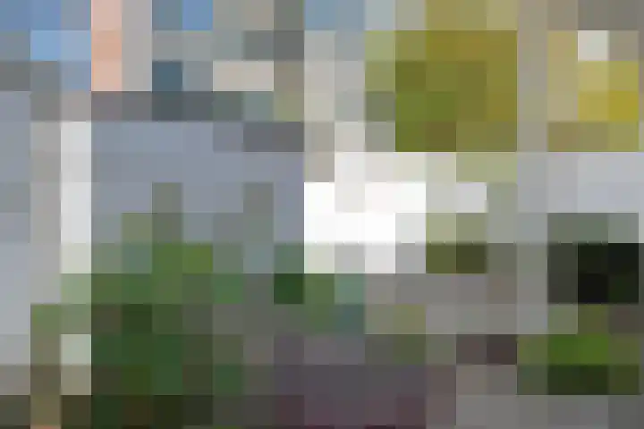 Bagijnhof 108 Delft thumbnail 9