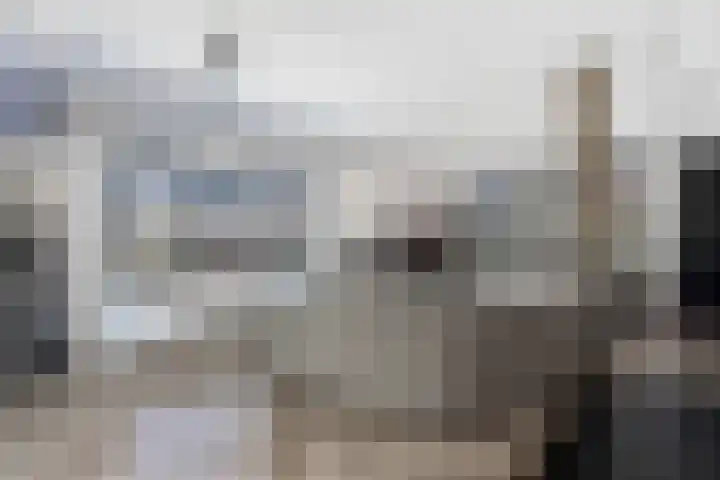 Bagijnhof 13 Veen thumbnail 11