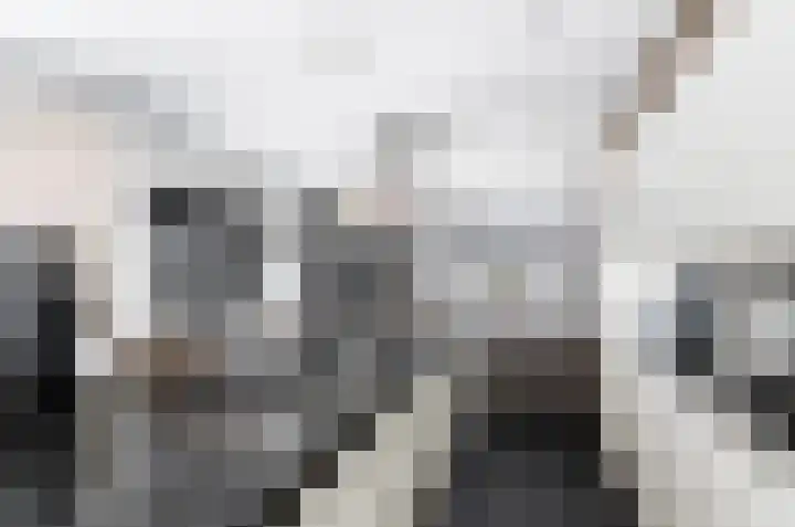 Bagijnhof 13 Veen thumbnail 17