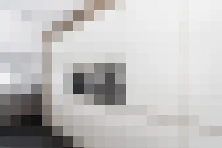 Bagijnhof 13 Veen thumbnail 18