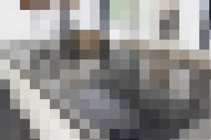 Bagijnhof 13 Veen thumbnail 20