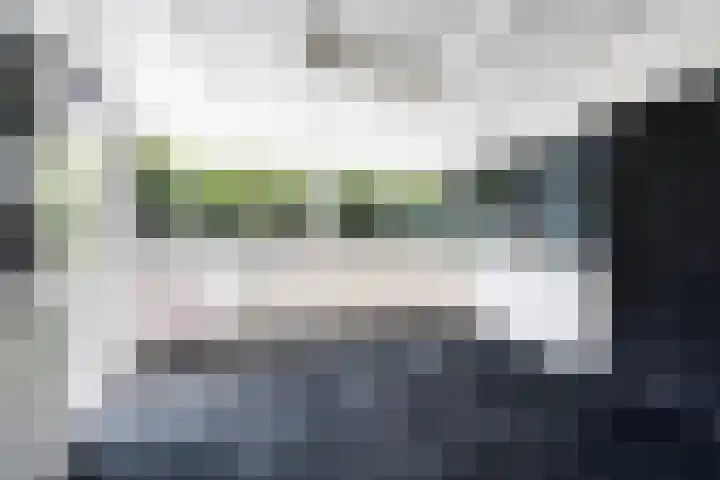 Bagijnhof 13 Veen thumbnail 25