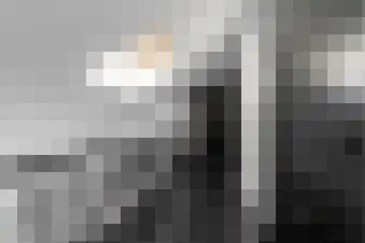 Bagijnhof 13 Veen thumbnail 29