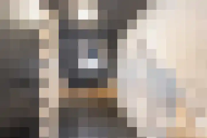 Bagijnhof 13 Veen thumbnail 38