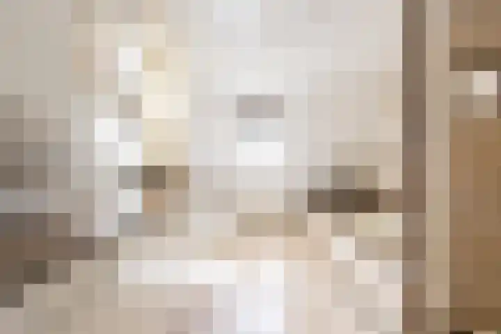 Bagijnhof 13 Veen thumbnail 39