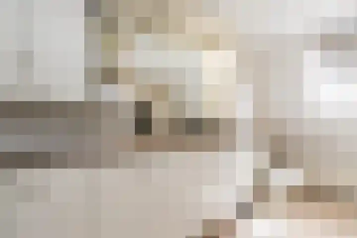 Bagijnhof 13 Veen thumbnail 40