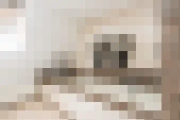 Bagijnhof 13 Veen thumbnail 41