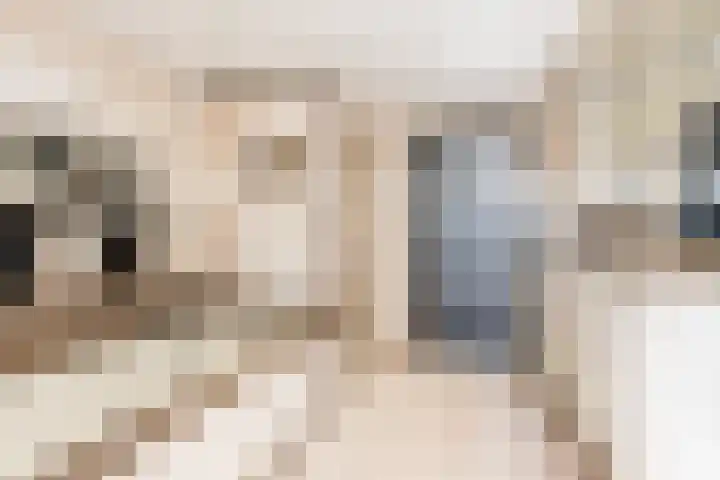 Bagijnhof 13 Veen thumbnail 43