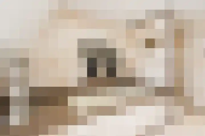 Bagijnhof 13 Veen thumbnail 44