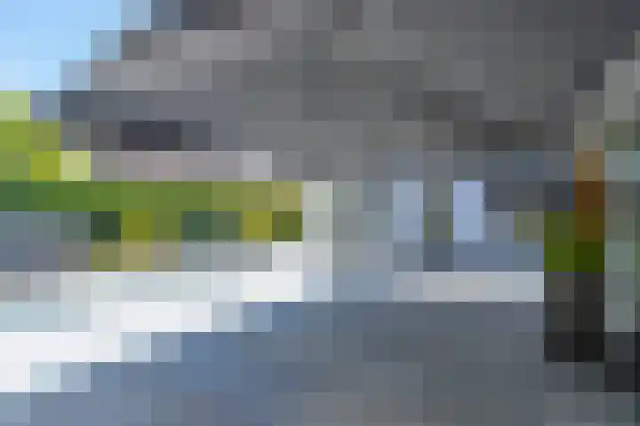 Bagijnhof 13 Veen thumbnail 48