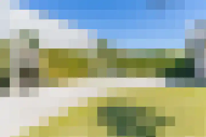 Bagijnhof 13 Veen thumbnail 51