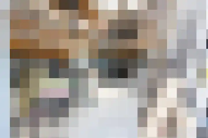 Bagijnhof 13 Veen thumbnail 55