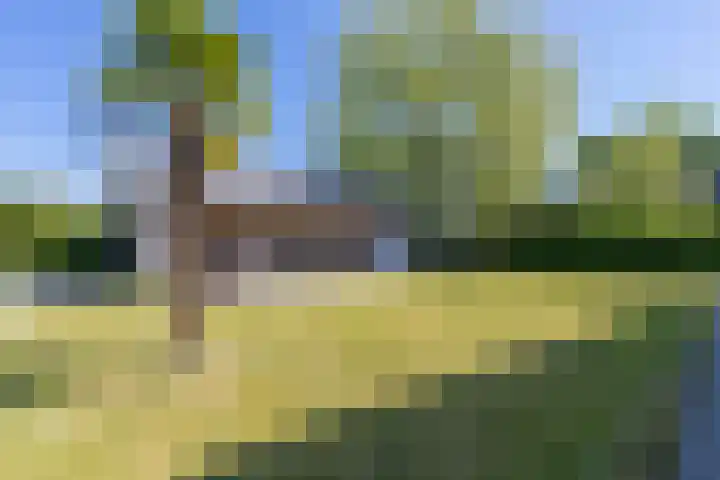 Bagijnhof 13 Veen thumbnail 59